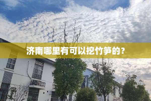 济南哪里有可以挖竹笋的？
