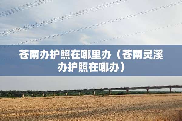 苍南办护照在哪里办（苍南灵溪办护照在哪办）
