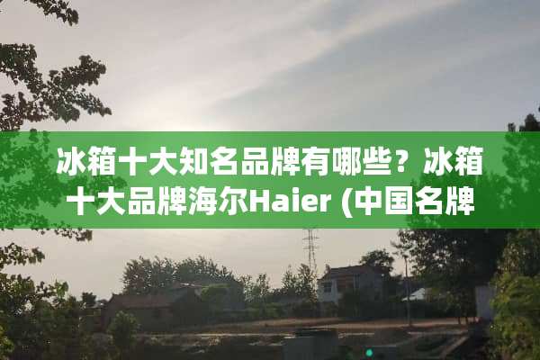 冰箱十大知名品牌有哪些？冰箱十大品牌海尔Haier (中国名牌