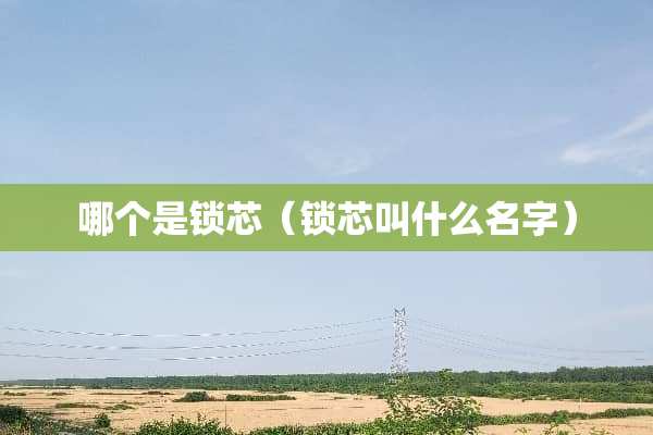 哪个是锁芯（锁芯叫什么名字）