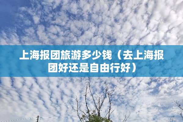 上海报团旅游多少钱（去上海报团好还是自由行好）