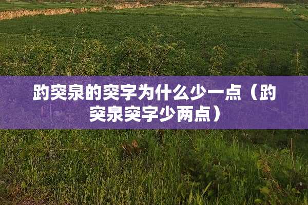 趵突泉的突字为什么少一点（趵突泉突字少两点）