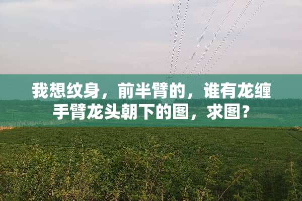 我想纹身，前半臂的，谁有龙缠手臂龙头朝下的图，求图？