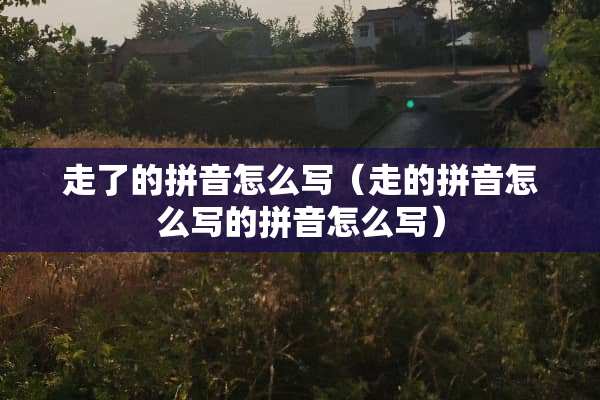 走了的拼音怎么写（走的拼音怎么写的拼音怎么写）