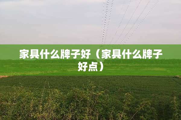家具什么牌子好（家具什么牌子好点）
