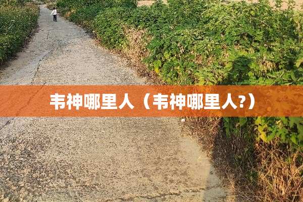 韦神哪里人（韦神哪里人?）