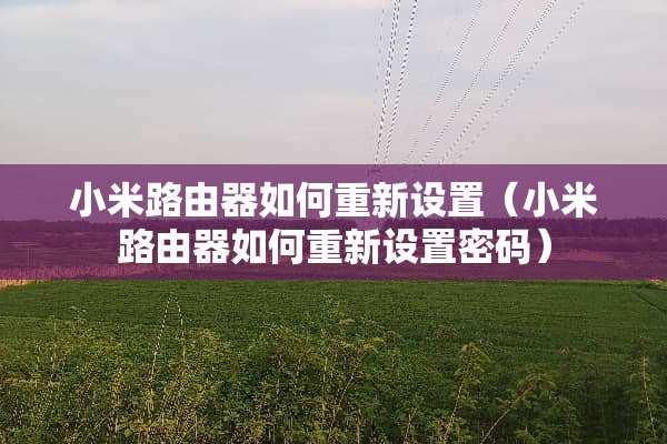 小米路由器如何重新设置（小米路由器如何重新设置密码）