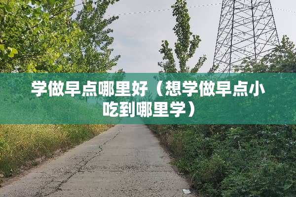 学做早点哪里好（想学做早点小吃到哪里学）