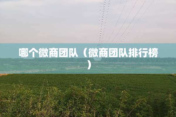 哪个微商团队（微商团队排行榜）