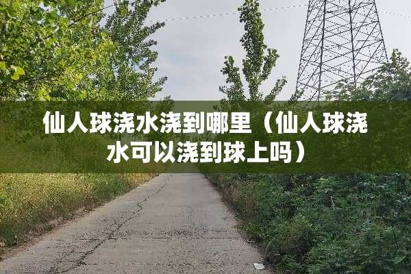 仙人球浇水浇到哪里（仙人球浇水可以浇到球上吗）