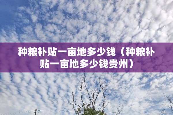 种粮补贴一亩地多少钱（种粮补贴一亩地多少钱贵州）