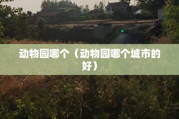 动物园哪个（动物园哪个城市的好）
