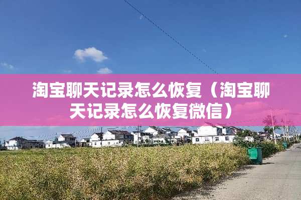 淘宝聊天记录怎么恢复（淘宝聊天记录怎么恢复微信）