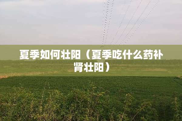 夏季如何壮阳（夏季吃什么药补肾壮阳）