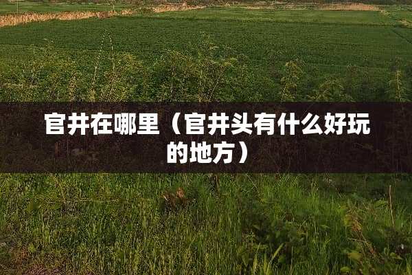 官井在哪里（官井头有什么好玩的地方）