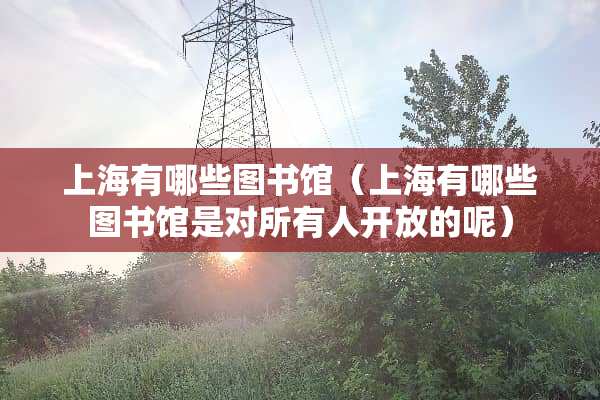 上海有哪些图书馆（上海有哪些图书馆是对所有人开放的呢）