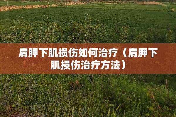 肩胛下肌损伤如何治疗（肩胛下肌损伤治疗方法）