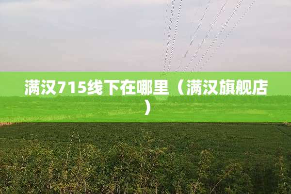 满汉715线下在哪里（满汉旗舰店）