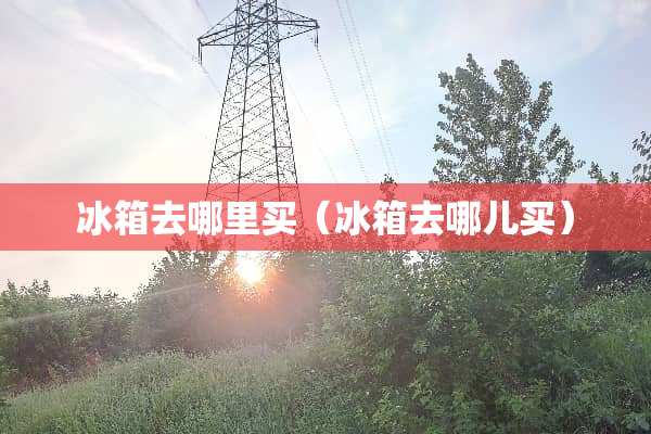 冰箱去哪里买（冰箱去哪儿买）