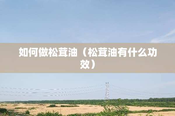 如何做松茸油（松茸油有什么功效）