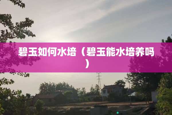 碧玉如何水培（碧玉能水培养吗）