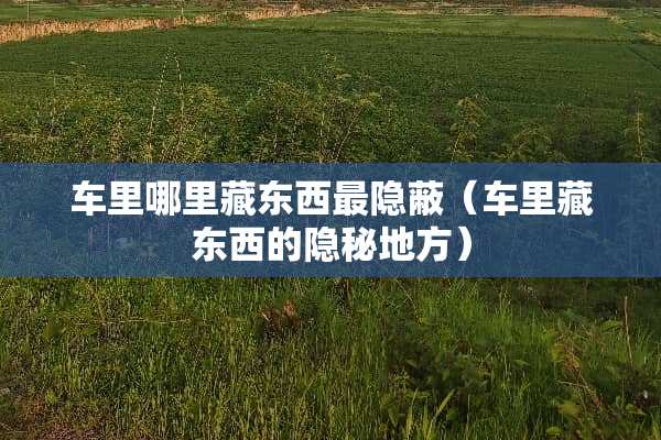 车里哪里藏东西最隐蔽（车里藏东西的隐秘地方）