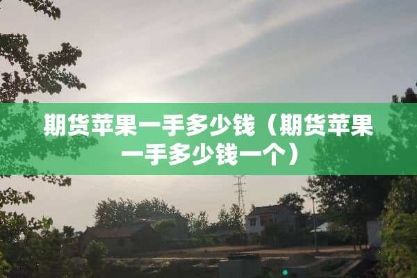 期货苹果一手多少钱（期货苹果一手多少钱一个）