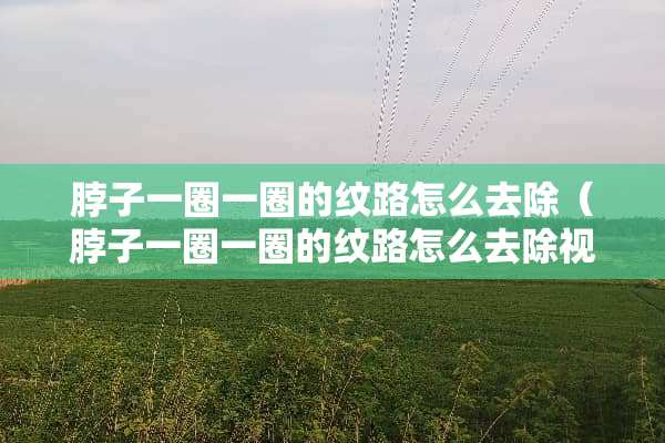 脖子一圈一圈的纹路怎么去除（脖子一圈一圈的纹路怎么去除视频教程）