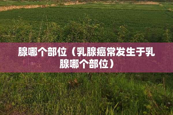 腺哪个部位（*腺癌常发生于*腺哪个部位）