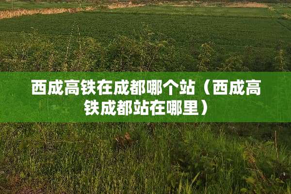 西成高铁在成都哪个站（西成高铁成都站在哪里）