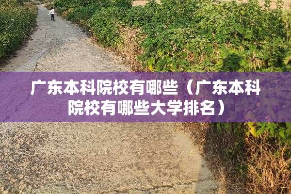 广东本科院校有哪些（广东本科院校有哪些大学排名）