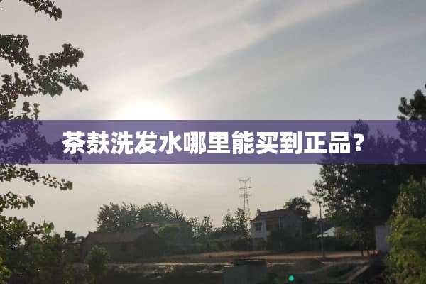 茶麸洗发水哪里能买到正品？