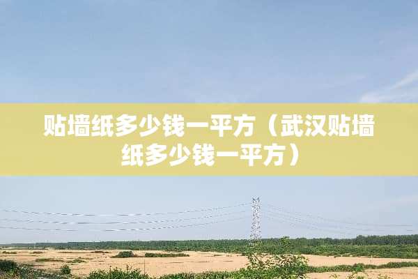 贴墙纸多少钱一平方（武汉贴墙纸多少钱一平方）