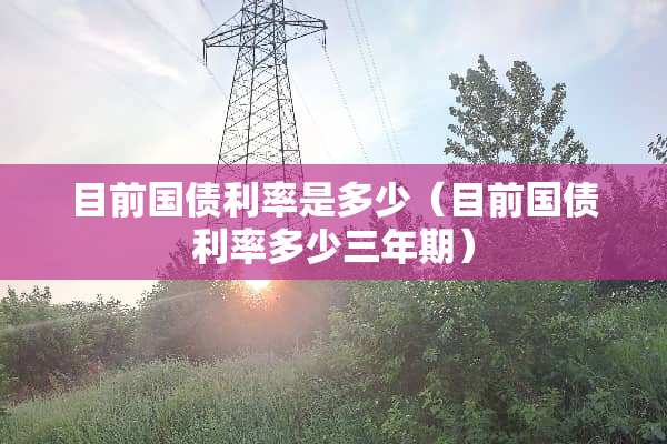 目前国债利率是多少（目前国债利率多少三年期）