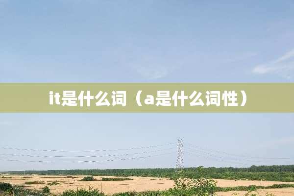 it是什么词（a是什么词性）