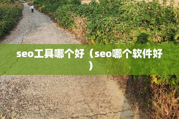 seo工具哪个好（seo哪个软件好）