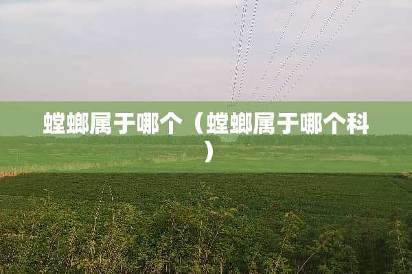 螳螂属于哪个（螳螂属于哪个科）