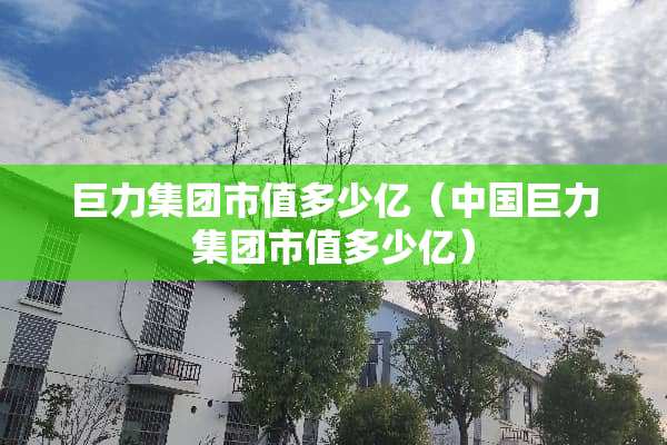 巨力集团市值多少亿（中国巨力集团市值多少亿）