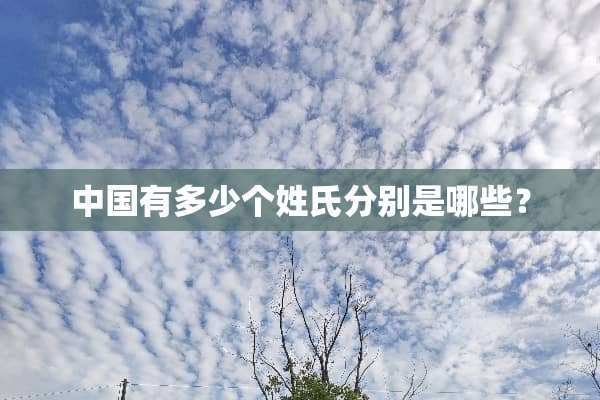 中国有多少个姓氏分别是哪些？