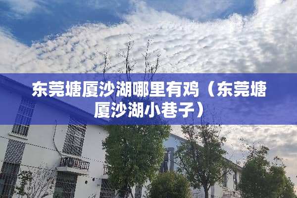 东莞塘厦沙湖哪里有鸡（东莞塘厦沙湖小巷子）