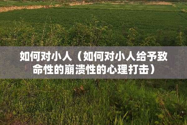 如何对小人（如何对小人给予致命性的崩溃性的心理打击）