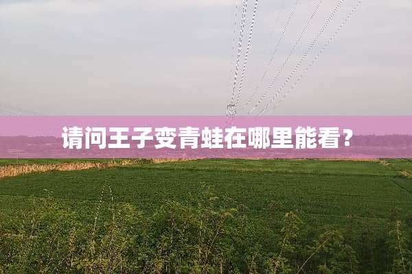 请问王子变青蛙在哪里能看？