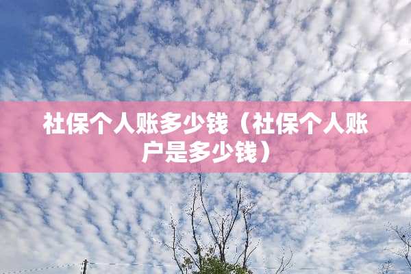 社保个人账多少钱（社保个人账户是多少钱）