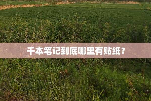 千本笔记到底哪里有贴纸？