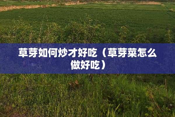 草芽如何炒才好吃（草芽菜怎么做好吃）