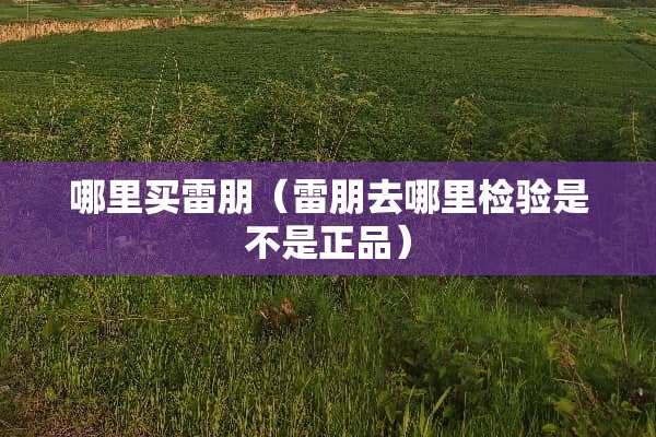 哪里买雷朋（雷朋去哪里检验是不是正品）