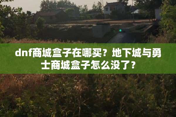 dnf商城盒子在哪买？**城与勇士商城盒子怎么没了？