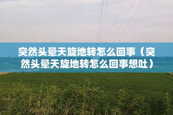 突然头晕天旋地转怎么回事（突然头晕天旋地转怎么回事想吐）