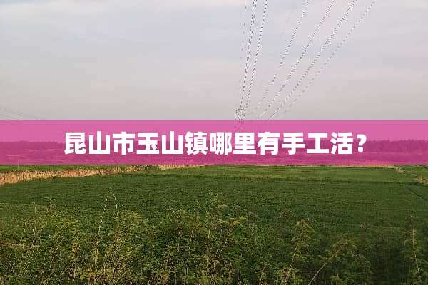 昆山市玉山镇哪里有手工活？