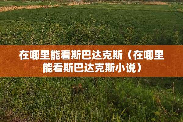 在哪里能看斯巴达克斯（在哪里能看斯巴达克斯小说）